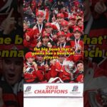 Are These Four Players About to Get Banned from the NHL? #shorts