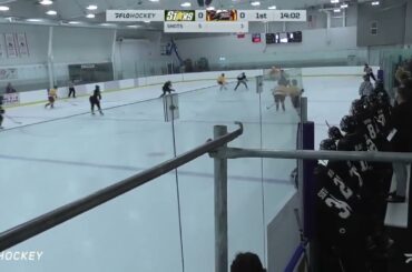 St. Thomas Stars Briir Long 2 (Quinn Gavin-White, Harrison Franseen) PP FG vs Caledon Bombers