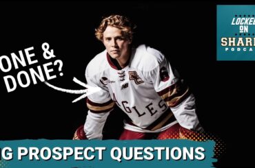 Big Questions Surrounding The Sharks Top Prospects This Season