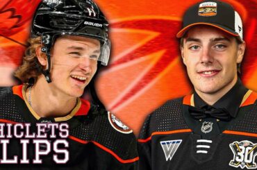 ANAHEIM DUCKS SEASON PREVIEW