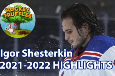 The Complete Igor Shesterkin | 2021/2022 Highlights