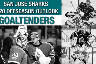 Sharks 2020 Offseason Outlook: Goaltenders