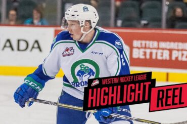 2017-18 HIGHLIGHT REEL | Colby Sissons