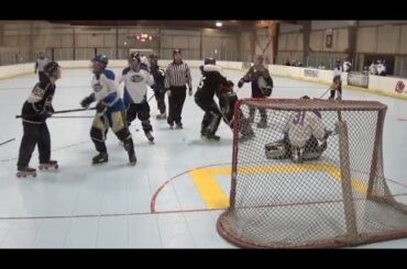 Roller Hockey Fights