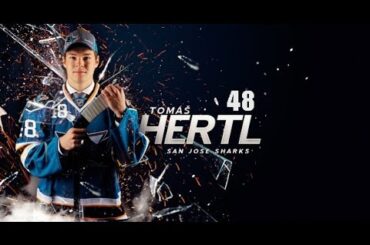 Best of Tomáš Hertl