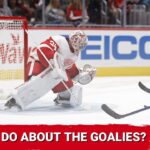 What to do with James Reimer and Alex Lyon