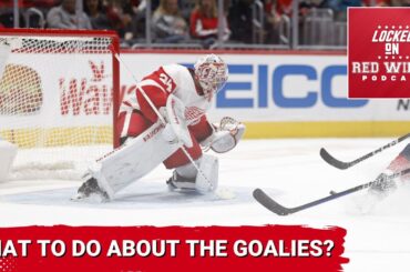 What to do with James Reimer and Alex Lyon