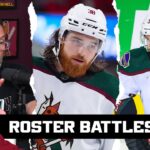 What will the Arizona Coyotes' 4th line look like on opening night?