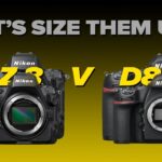 Z8 Vs D850 | Detailed First Look At How These Two Cameras Compare | Matt Irwin