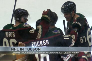 Arizona Coyotes dominate Ducks 7-1 in preseason game at Tucson Arena