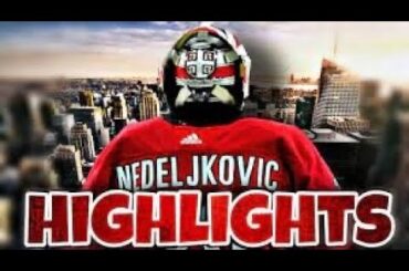 alex nedeljkovic highlights