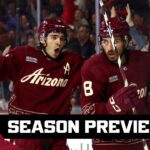 The biggest questions facing the Arizona Coyotes this season