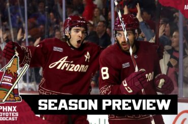 The biggest questions facing the Arizona Coyotes this season