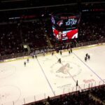 Jordan Martinook EN goal vs Colorado 11-5-15