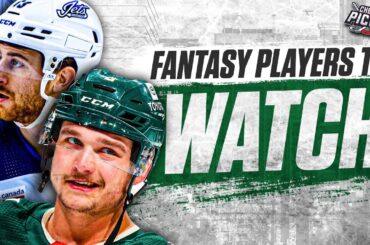 Fantasy Hockey Players to Watch on Your Waiver Wire | Cherry Pickin'