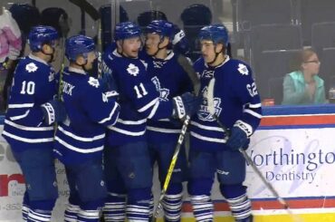 Nikita Soshnikov Goal - April 23, 2016