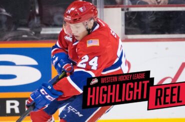 2017-18 HIGHLIGHT REEL | Ty Smith