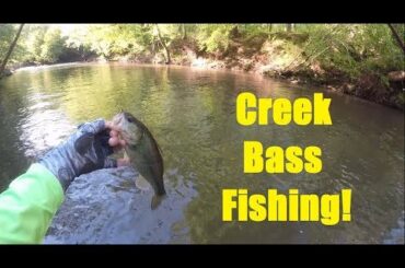 Creek Fishing for Largemouth Bass. Reedy Fork NC.