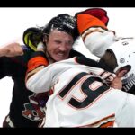 Reviewing Ducks vs Coyotes Matinee Game