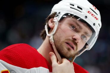 NHL Player Safety Got it Right (for once)