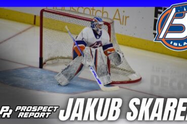 Prospect Report | Jakub Skarek vs Hershey Bears | AHL Islanders Goalie