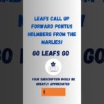 LEAFS ANNOUNCE ROSTER SHAKE UP AFTER LOSING 2 IN A ROW!#GOLEAFSGO