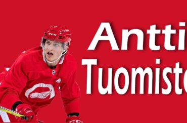 Antti Tuomisto: Big Red Wings Prospect