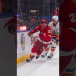 Detroit Red Wings defeat New York Islanders in overtime