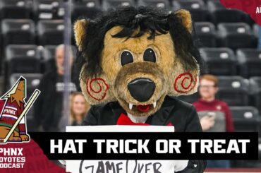 Mailbag Tuesday: We discuss your Arizona Coyotes-related questions in depth