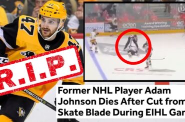 Former NHL Player Adam Johnson DIES In FREAK Accident During Game After Cut To Neck With Skate