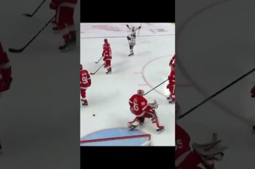 GOAL  Joey Anderson  Detroit Red Wings v Chicago Blackhawks  NHL 2022 23#shorts