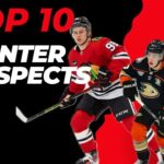 Top 10 Center Prospects in The NHL