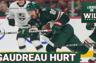 Jujhar Khaira Called up with Freddy Gaudreau Hurt and Jared Spurgeon put on LTIR #minnesotawild