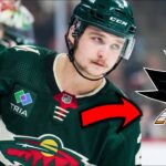 What Are The Minnesota Wild Doing?