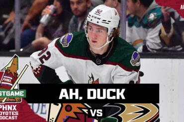 Logan Cooley scores first NHL goal but Arizona Coyotes lose in OT to Troy Terry and Anaheim Ducks