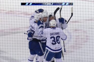 Calle Rosen Goal - June 5, 2018