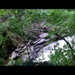 I could get get hurt