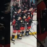 NO Thoughts Given 😆