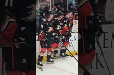 NO Thoughts Given 😆