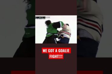 GOALIE FIGHT!! #hockey #hockeyshorts #shortsvideo #shorts #viral #viralvideo #viralshorts #foryou