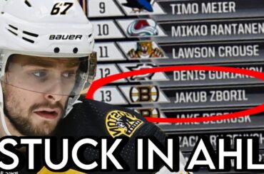 The Jakub Zboril Situation