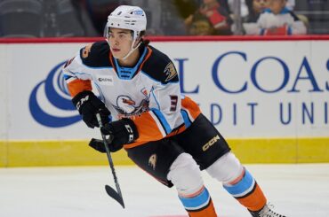 Recap: San Diego Gulls vs. Calgary Wranglers, 11.10