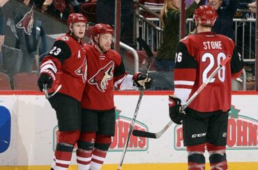 Max Domi nets first career hat trick