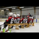 FutureStars 2017 - Holmen U7