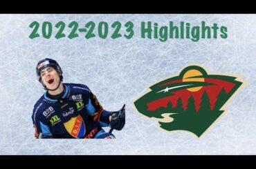 NHL Prospects : Liam Öhgren - 22-23 Highlights