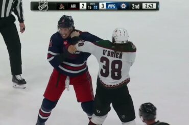 Brendan Dillon And Liam O'Brien Drop The Gloves