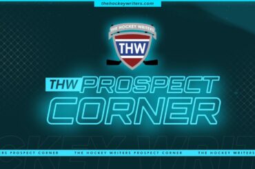 Early Standouts in the USHL, NCAA & AHL | THW Prospect Corner