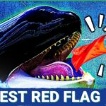 Your Vancouver Canucks’ Biggest PROBLEM is…🚩