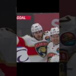 GOAL  Josh Mahura  Florida v Toronto  NHL 2022 23#shorts