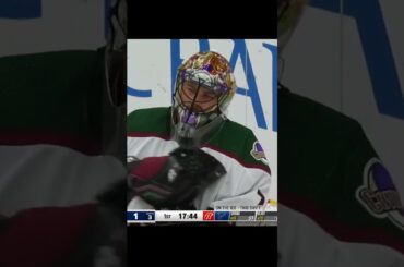 GOAL Oskar Sundqvist St  Louis Blues v Arizona Coyotes 2-1 NHL 2023-24#shorts